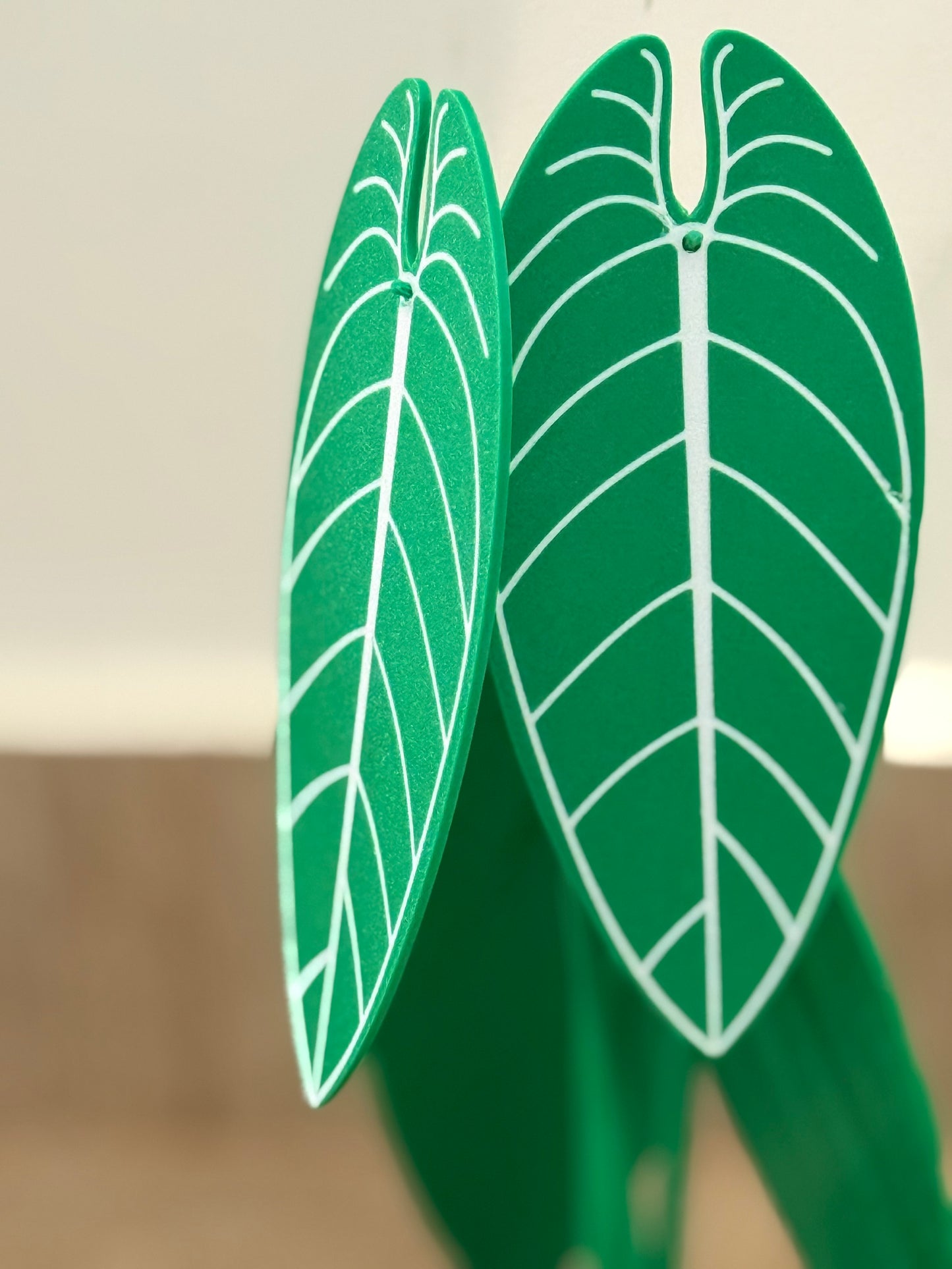 Planta Anthurium Waroqueanum Porta-Copos