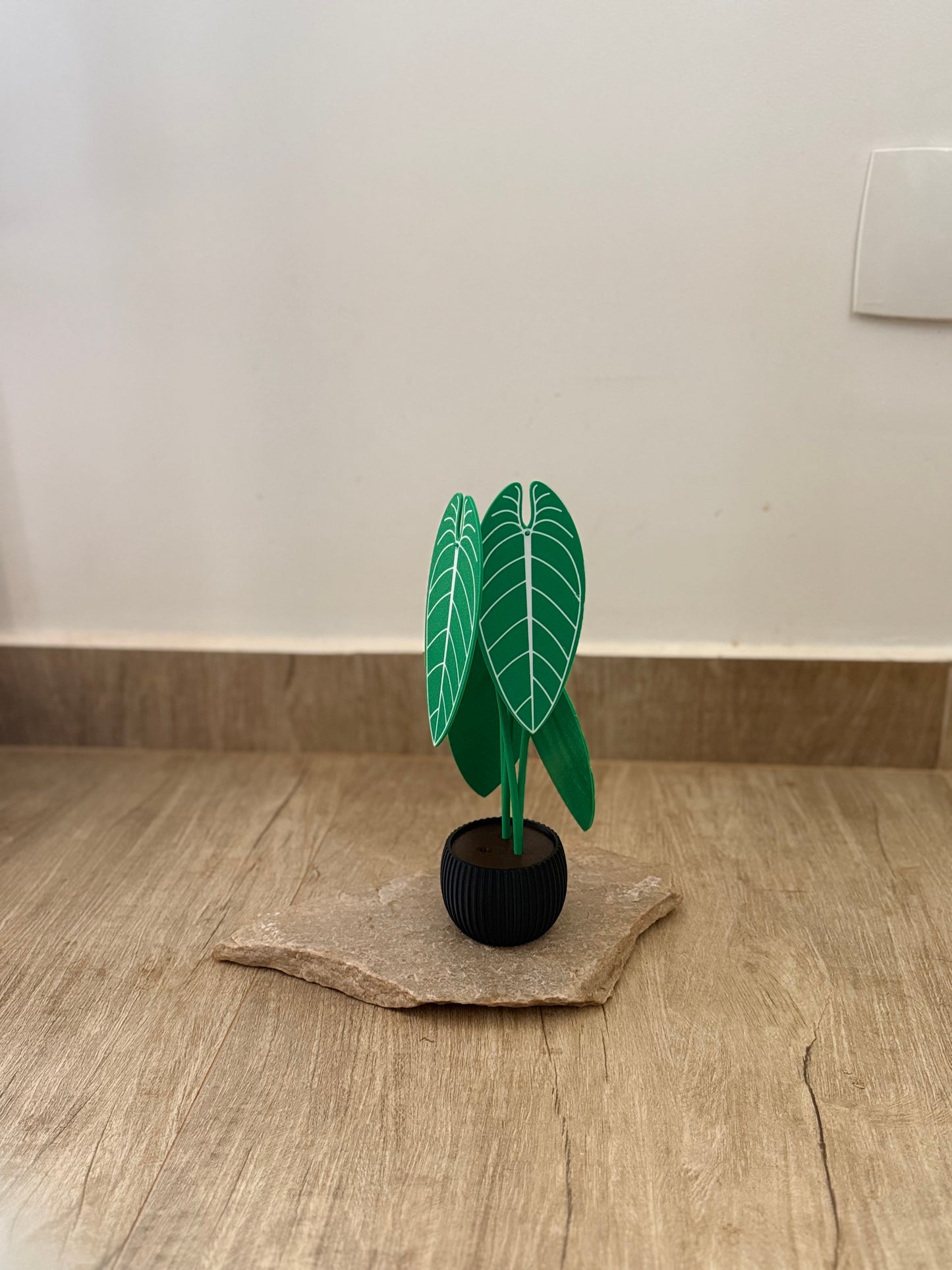 Planta Anthurium Waroqueanum Porta-Copos