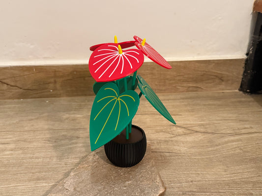 Planta Antúrio Porta-Copos