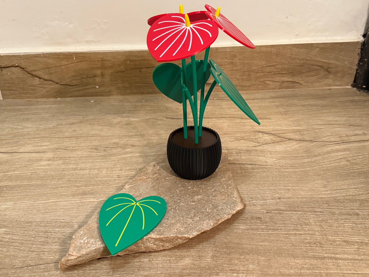 Planta Antúrio Porta-Copos