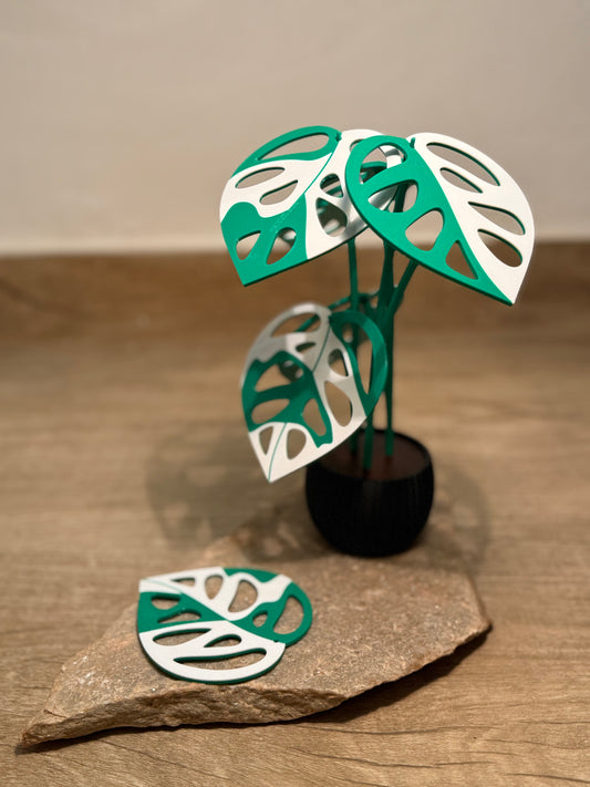 Planta Monstera Adansonii 3D – Folhas Porta-Copos Versáteis