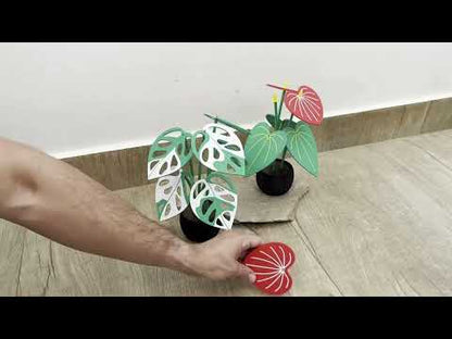 Planta Monstera Adansonii 3D – Folhas Porta-Copos Versáteis